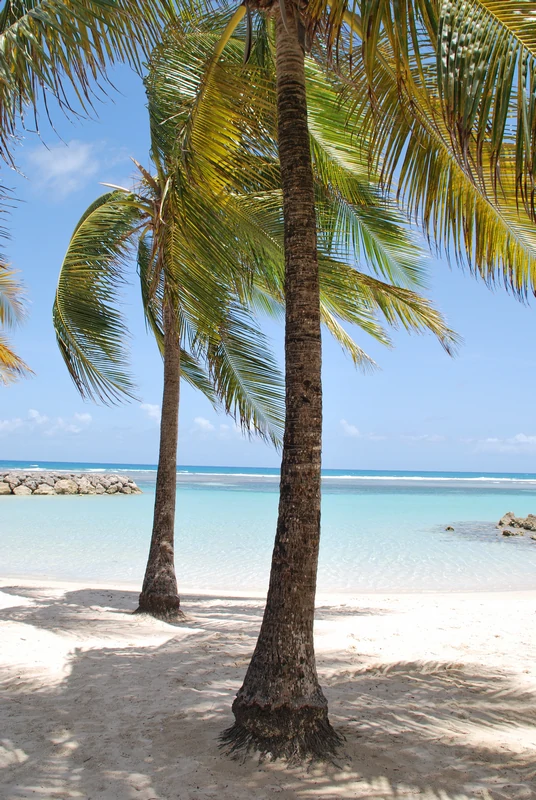 location de vacances en bord de mer Guadeloupe